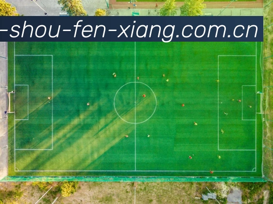 奖项证书